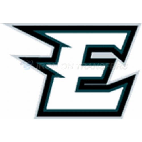Philadelphia Eagles Iron-on Stickers (Heat Transfers)NO.676